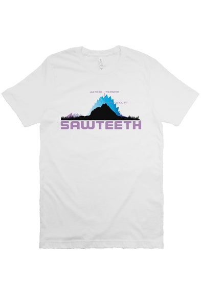 Sawteeth Mountain Bella Canvas T Shirt