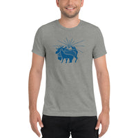 Animal Mashup Sunrays Tri Blend Short sleeve t-shirt